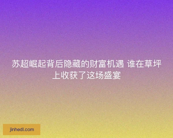 苏超崛起背后隐藏的财富机遇 谁在草坪上收获了这场盛宴